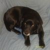 anderson_332000